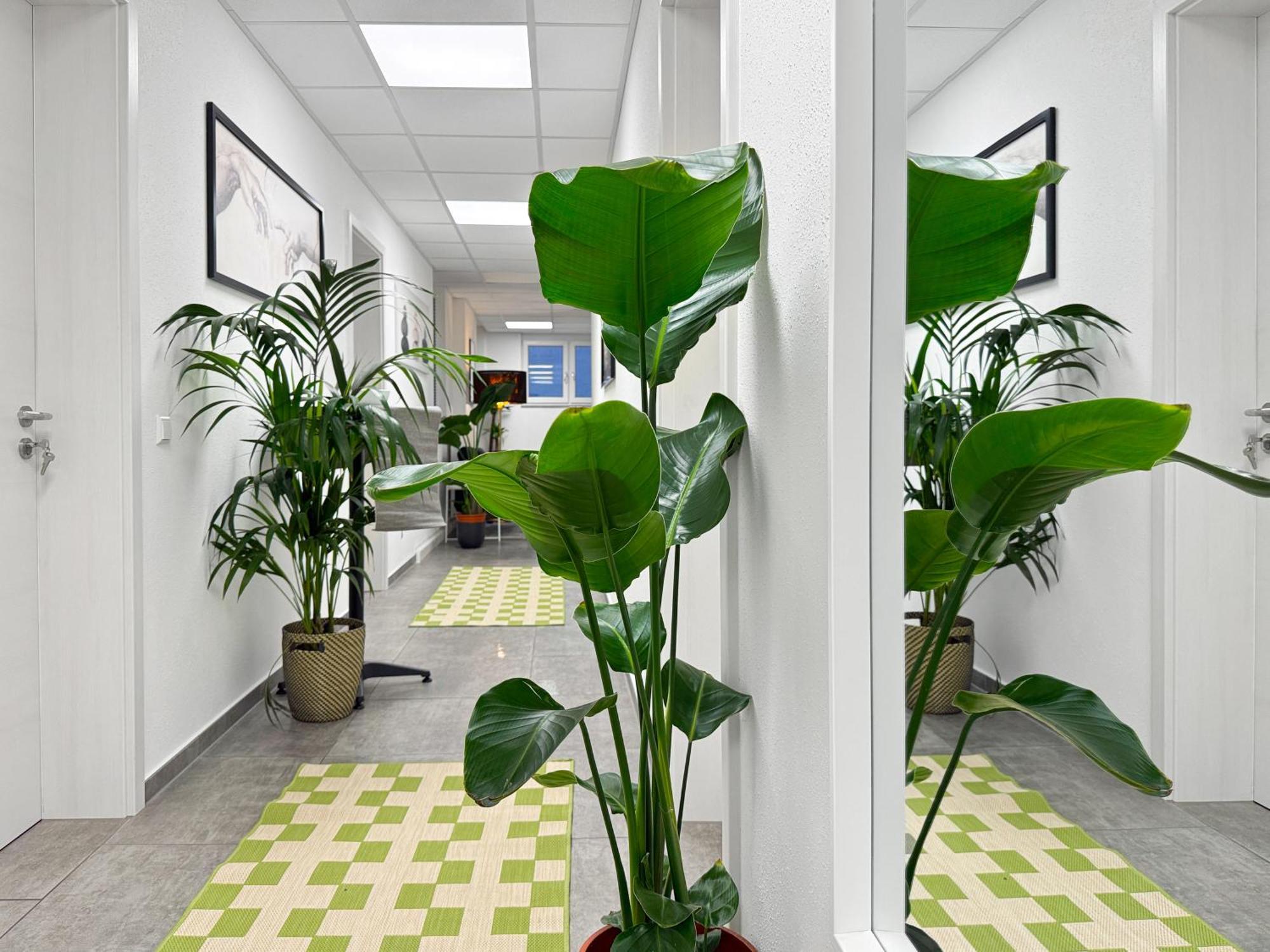 Group Friendly Comfort Central Stuttgart Apartment Exterior foto